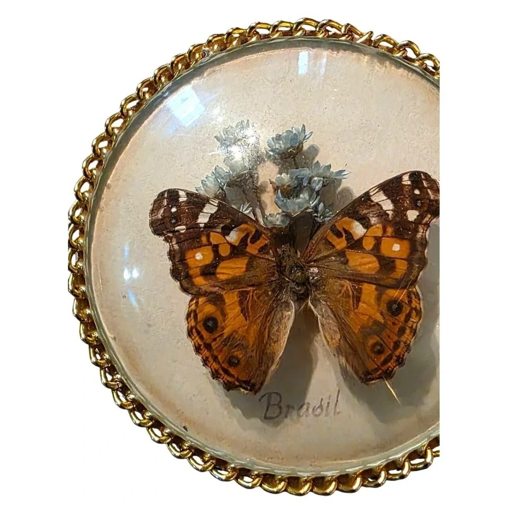 Vintage Trinket Box Butterfly Taxidermy Round Dried Flowers & Brazil Red Felt li